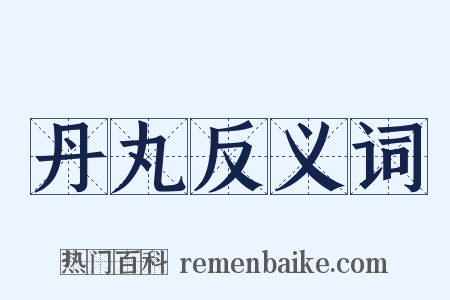 丹丸反义词是什么意思的图片